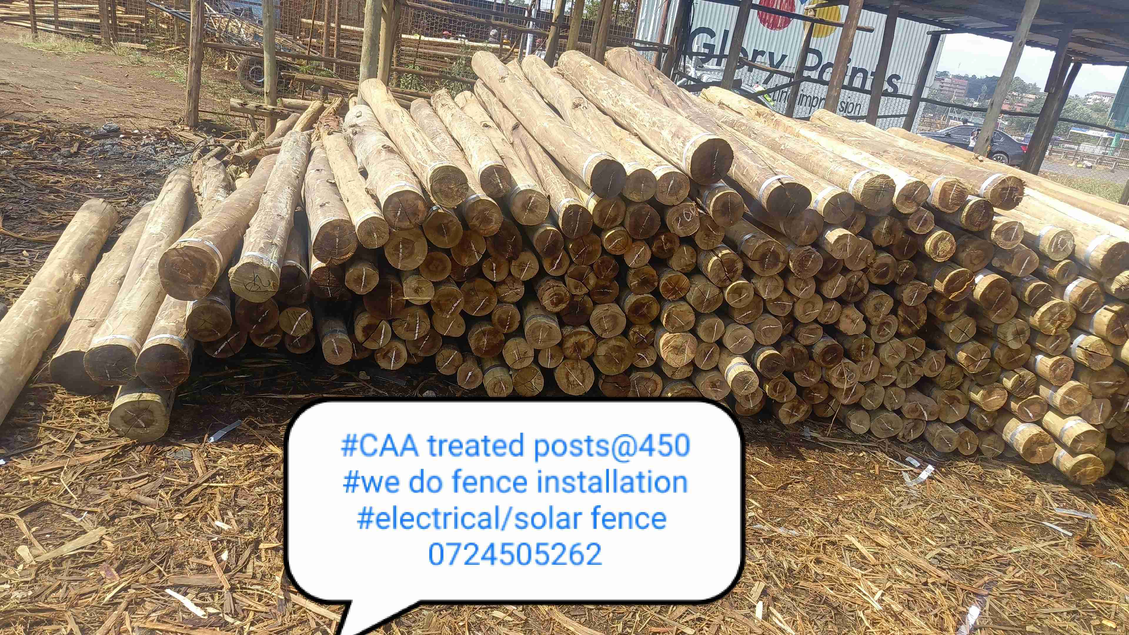 Pressure treated fencing posts