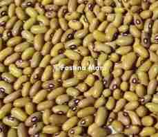 Yellow Beans