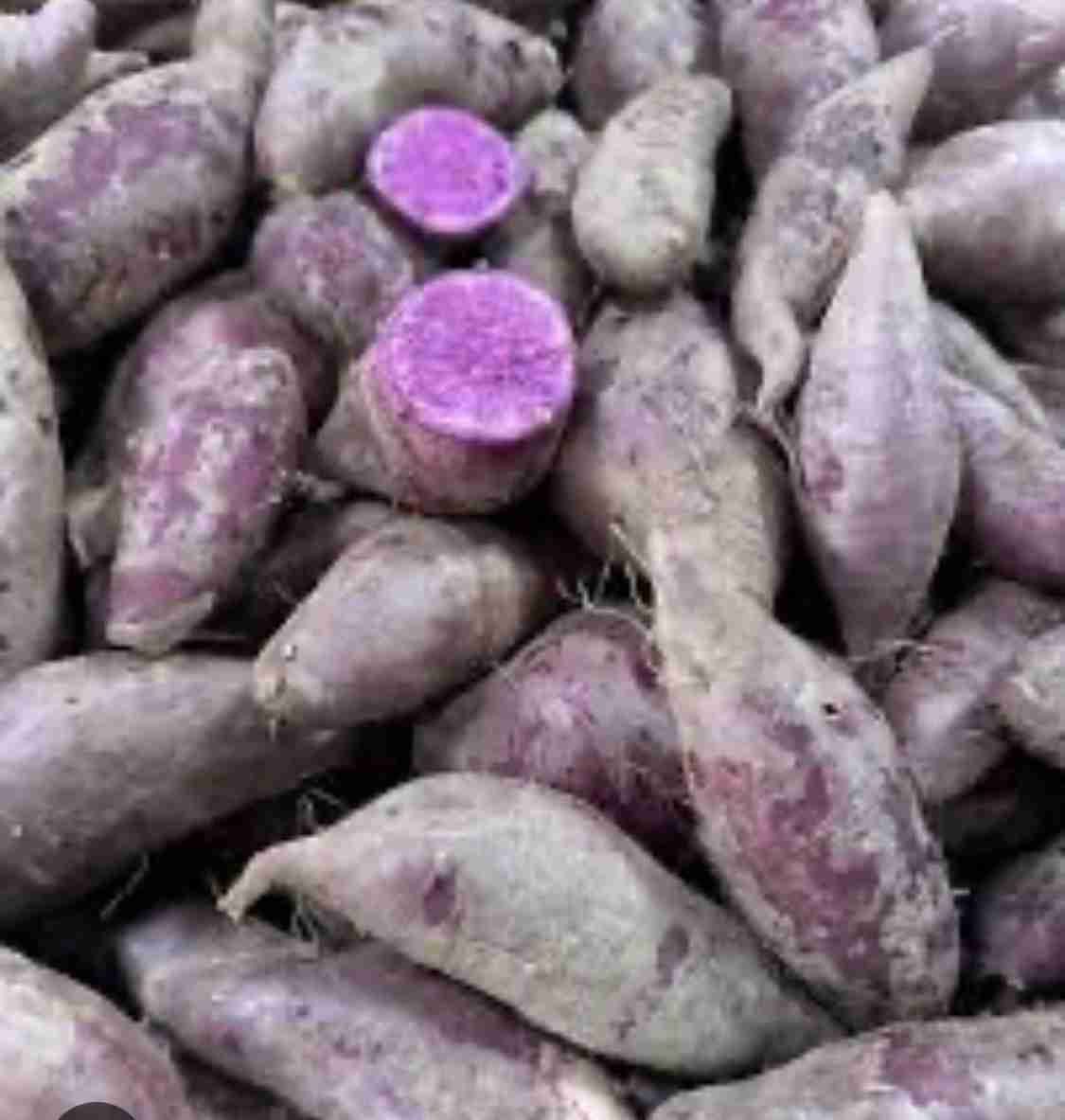 Purple sweet potatoes 
