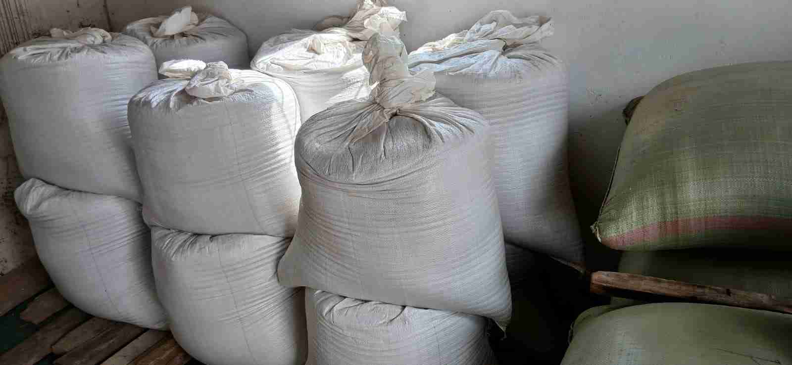 Finger millet grains