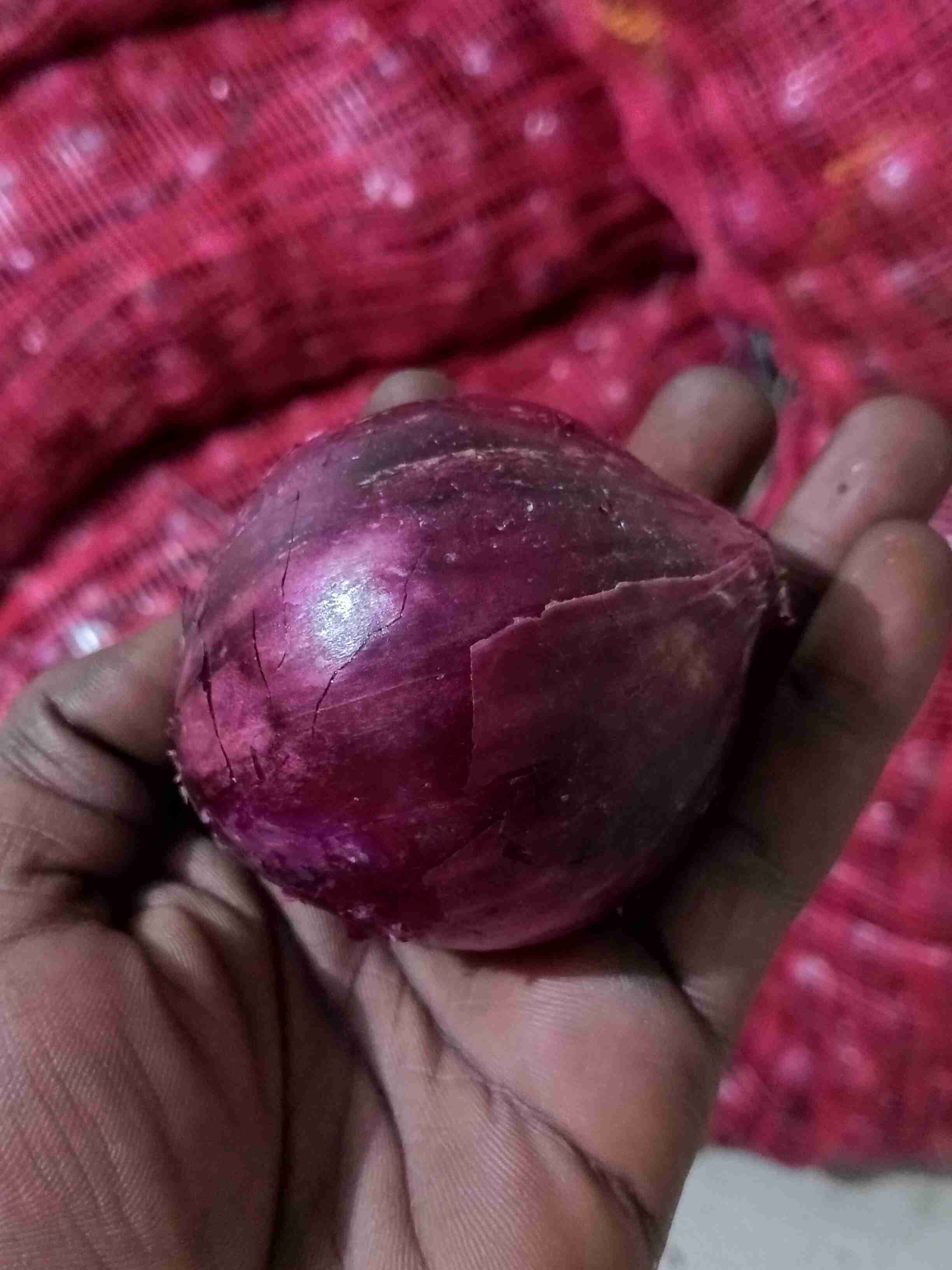 Onions 