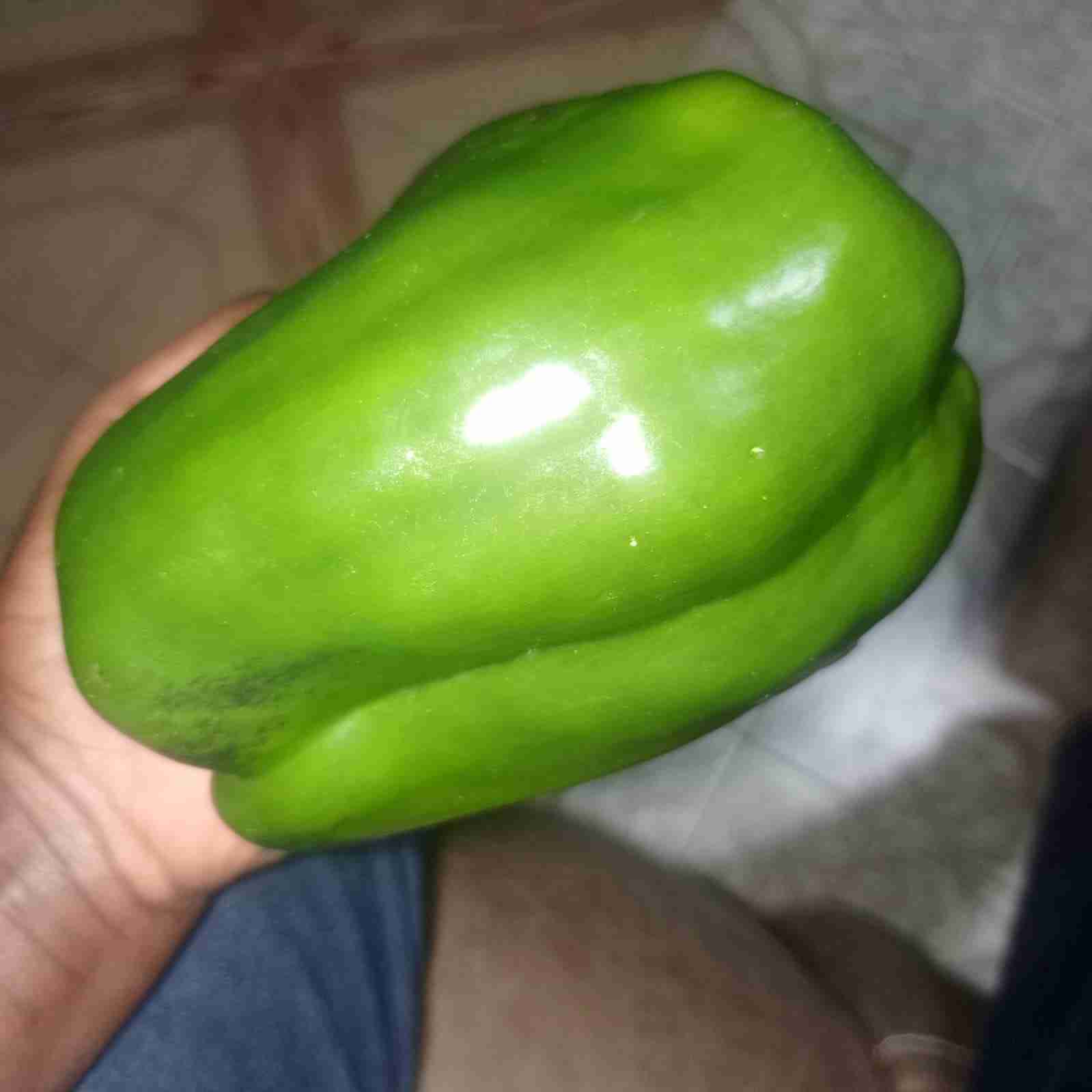 Green capsicum