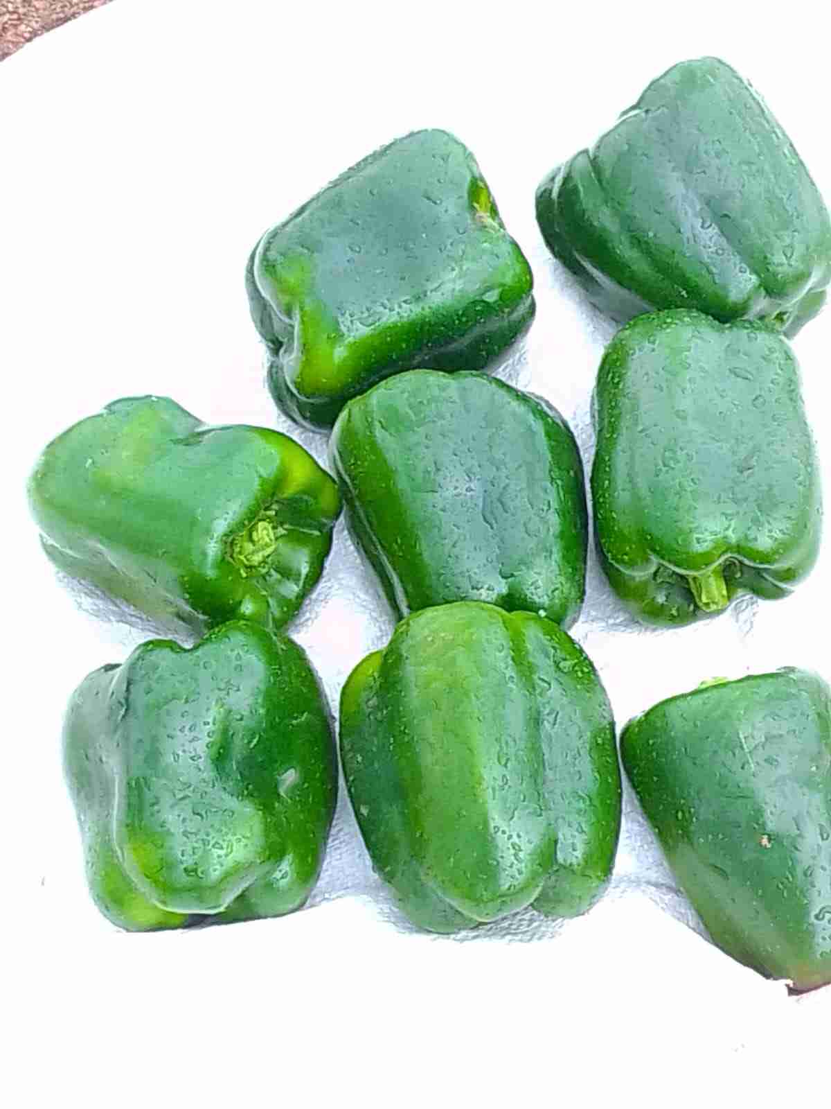 Green capsicum
