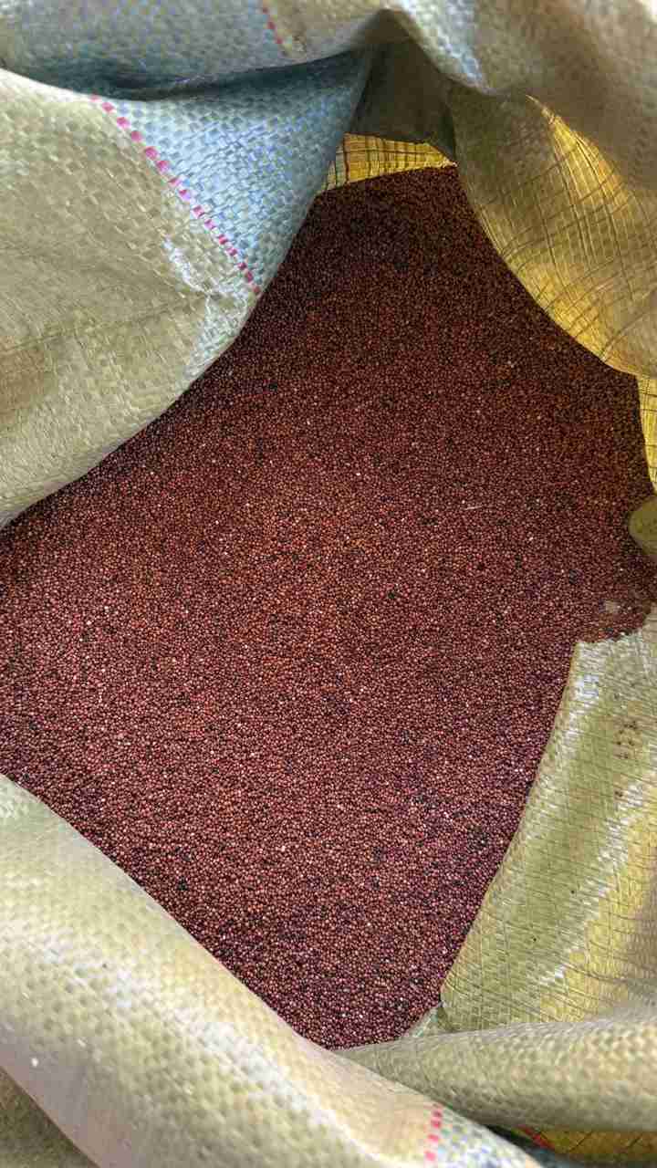 Finger millet (mixture of red and white finger millet)