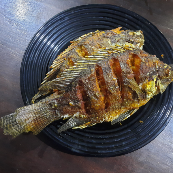 Fried Fresh Tilapia Fish